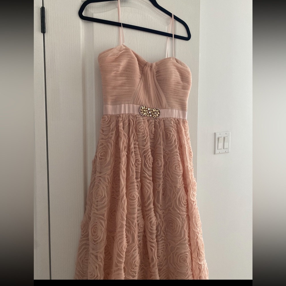 Adrianna Papell Blush Strapless Lace Dress
Style #041851540